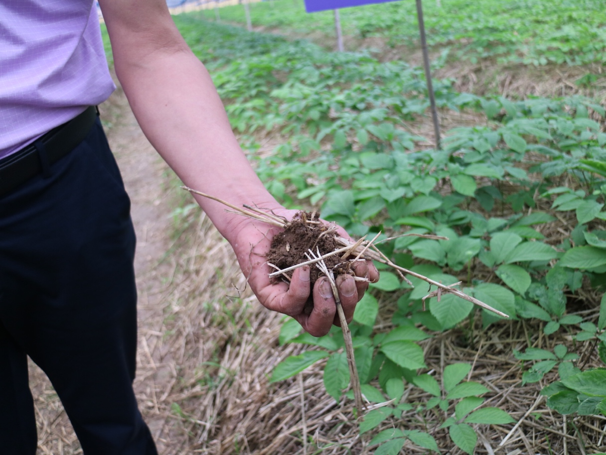 隐形富豪致富之路,隐形富豪如何成功致富