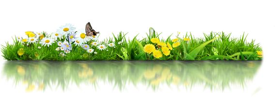 美团足浴店好评评语大全,美团好评足疗