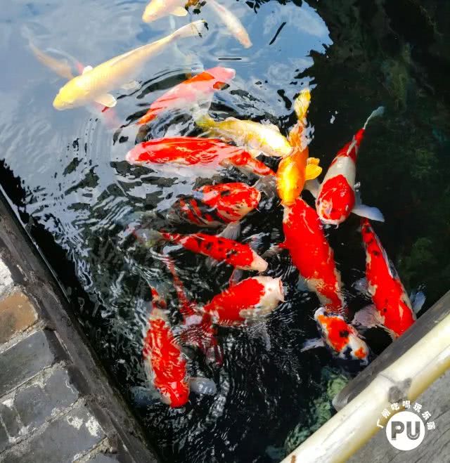 有一条街，叫明心路