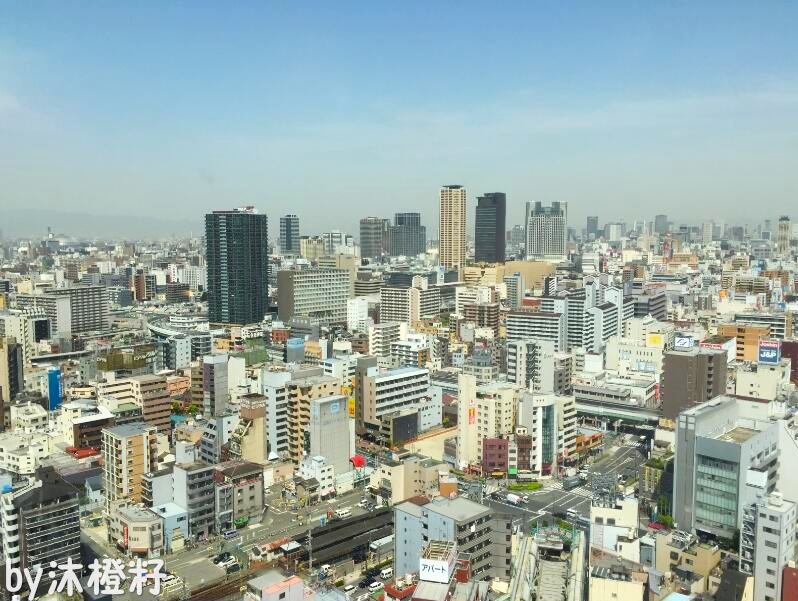 日本一男“玛丽苏”,逆袭入住“假版”黄鹤楼?!