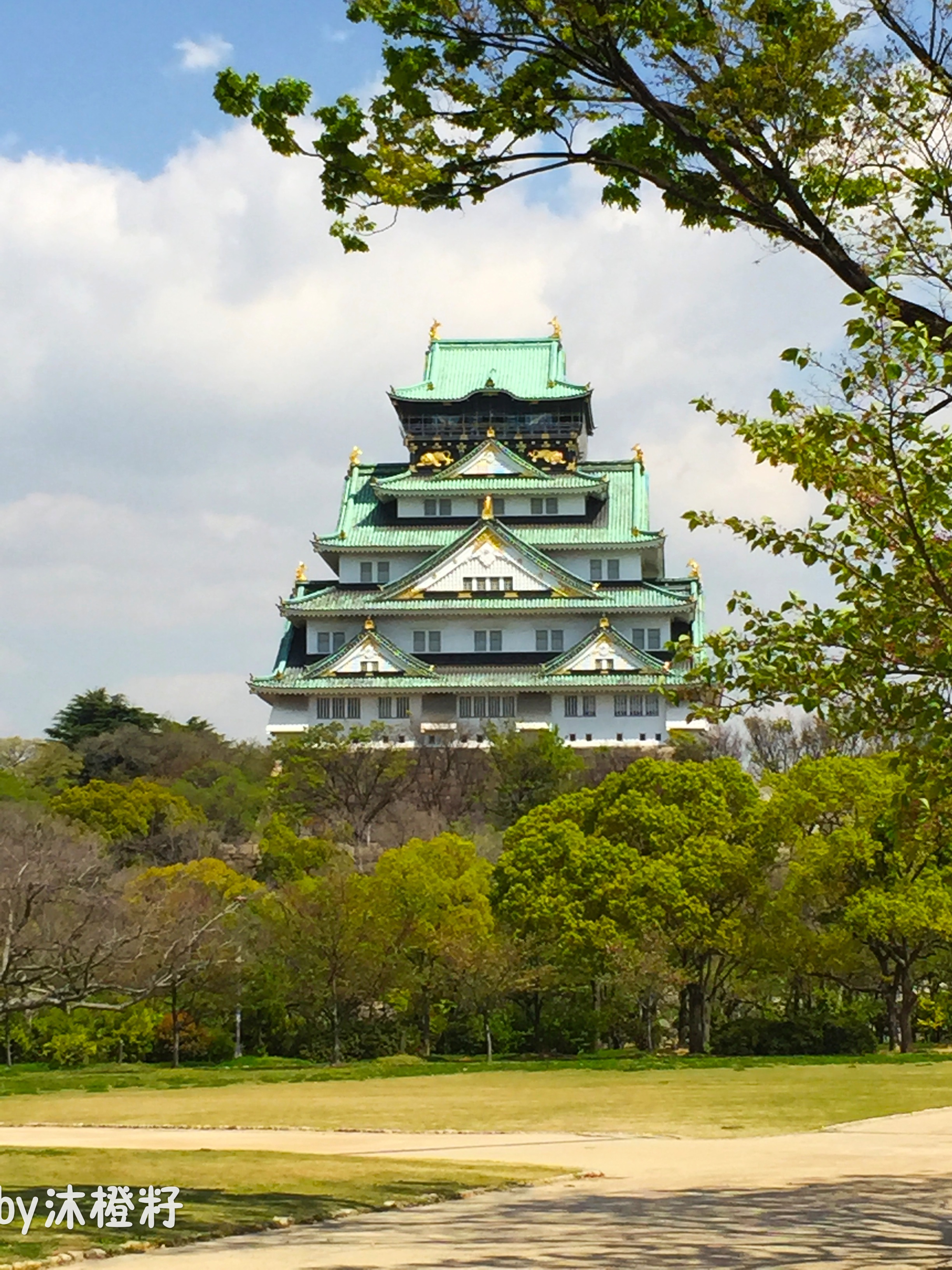 日本一男“玛丽苏”,逆袭入住“假版”黄鹤楼?!