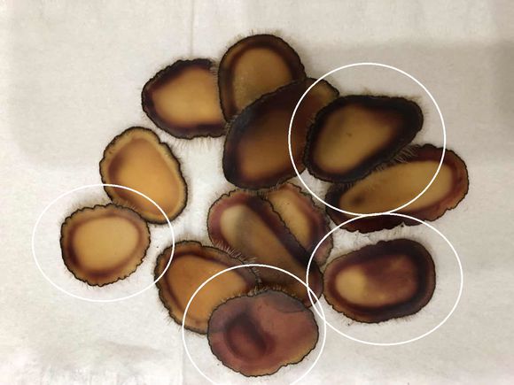 鹿茸泡酒用全蜡片还是半蜡片好,马鹿茸和梅花鹿茸片区别