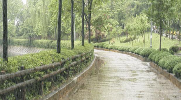 闆ㄥ悗鍒濇櫞鏄ュ厜鏄庡獨,闆ㄥ悗鍒濇櫞鏄ユ剰鐩庣劧