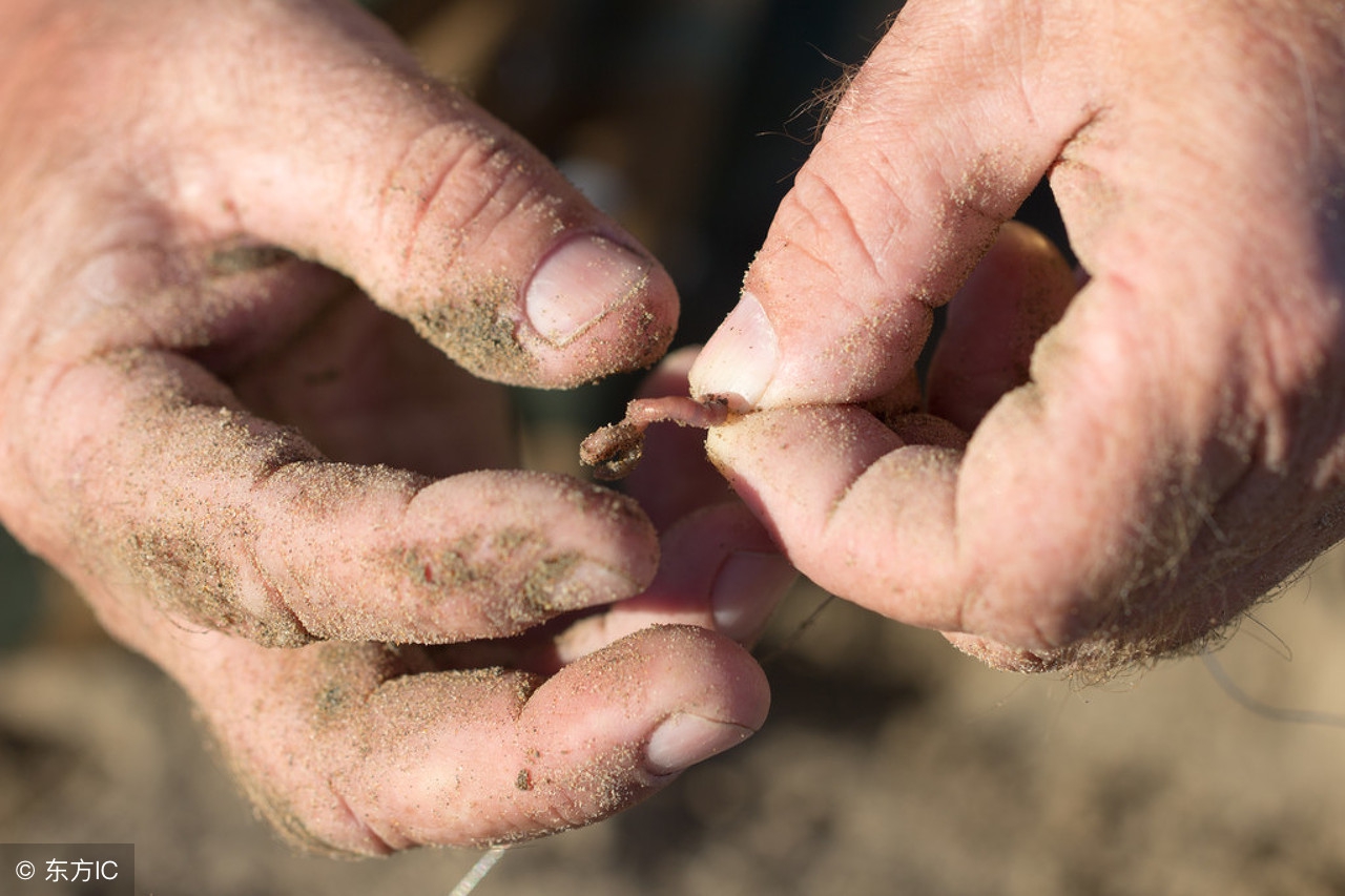 钓鲢鱼鱼塘里有鱼怎么不上钩呢,民间自制鲫鲤草鱼饵料配方