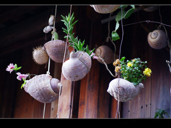 海钓，勇敢者的征服之旅