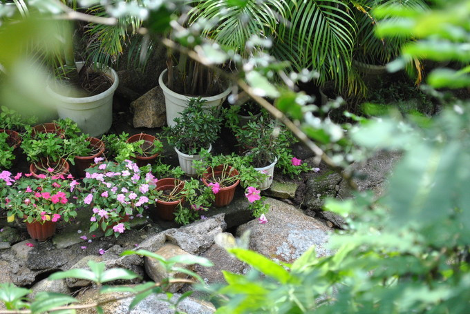 大玲子和爸妈去旅行三亚,带家人去三亚玩都不满意