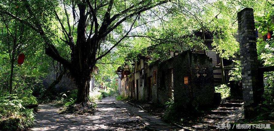 财主家的风水传说,农村土财主风水