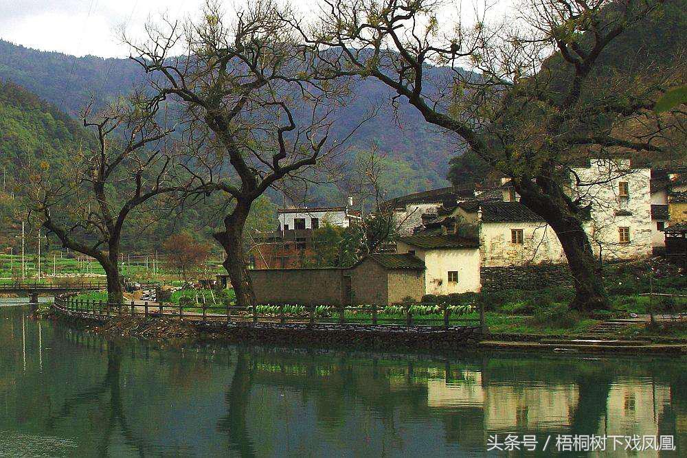 财主家的风水传说,农村土财主风水