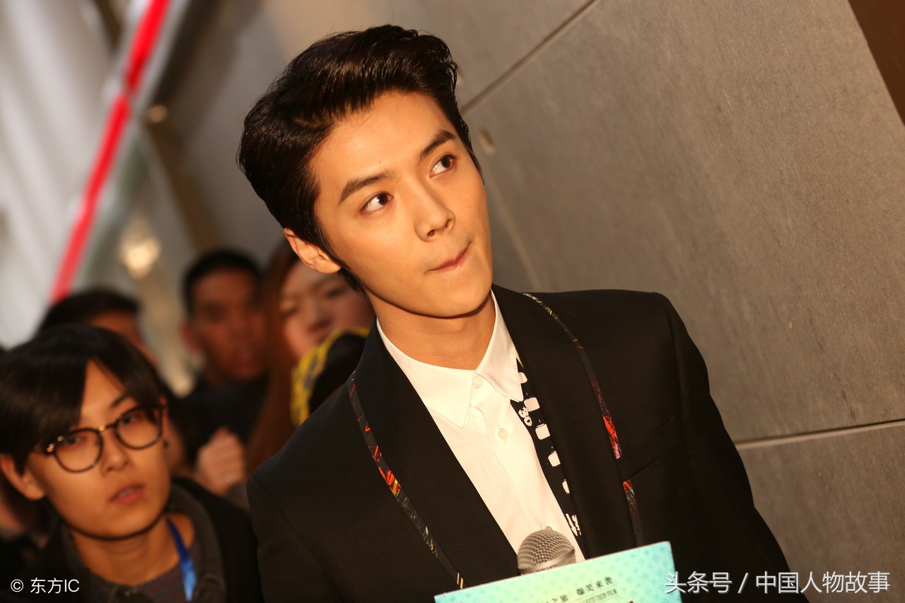 明星鹿晗故事,十大影响中国人物鹿晗