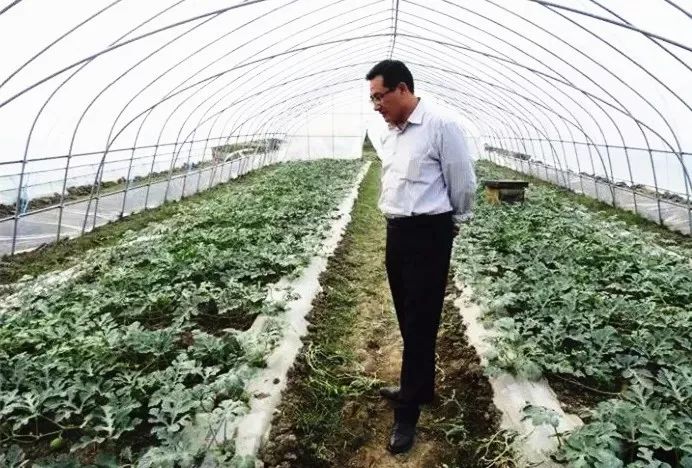 人物纪实微故事,人物传记小故事合集