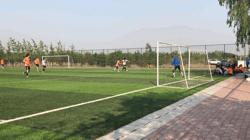 紫禁之巅2020,紫禁之巅199集