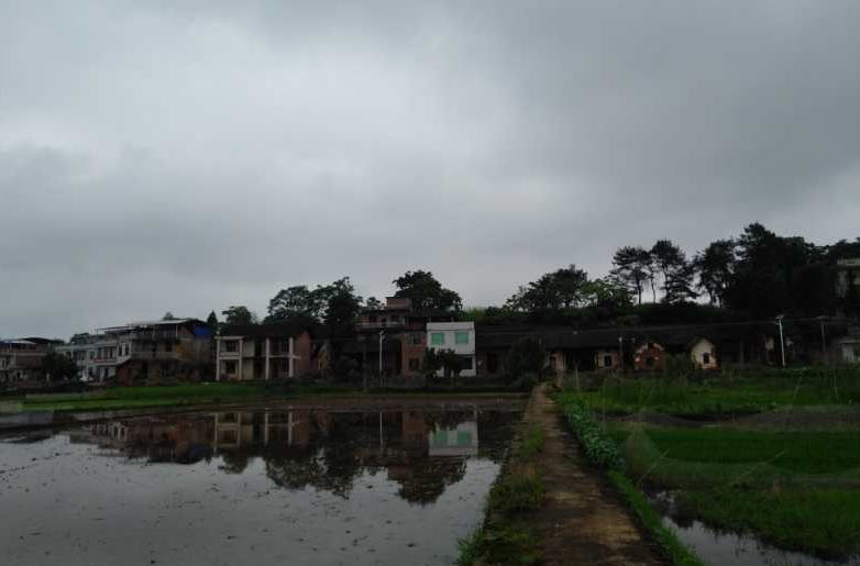 湖南留守儿童杀人案例,湖南两个幼女被害案