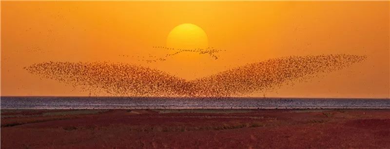 涓浗姊︽捣鎶ュ睍,杞╄緯鎯呬腑鍥芥ⅵ鍏ュ睍鑾峰