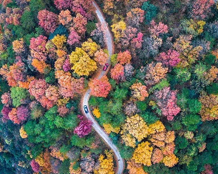 涓浗姊︽捣鎶ュ睍,杞╄緯鎯呬腑鍥芥ⅵ鍏ュ睍鑾峰