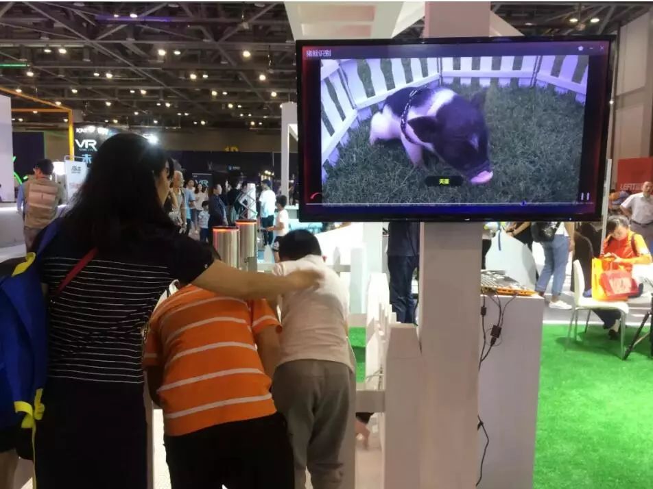 杭州人对未来的好奇心彻底爆发！10多万人在江边“看到了未来”！