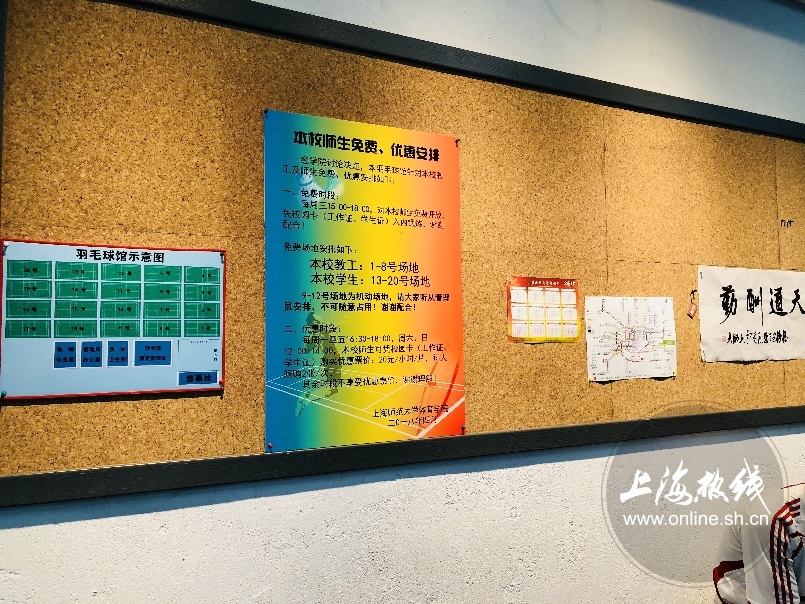 绿树成荫景色宜人清新空气,绿树成荫环境优美空气清新