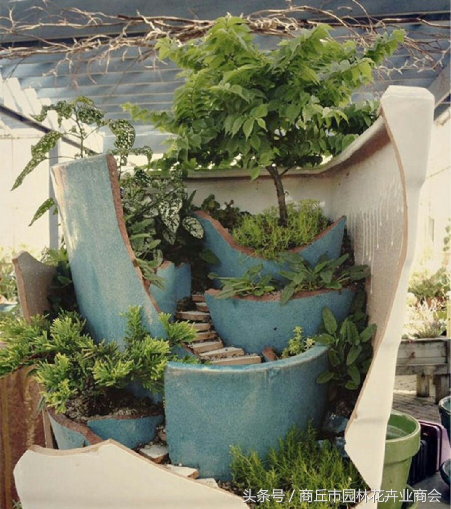 花盆里面的杂草可以拔吗,花盆底部长出根要不要剪掉