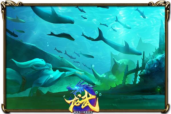 龙武在线观看,龙武2019新版