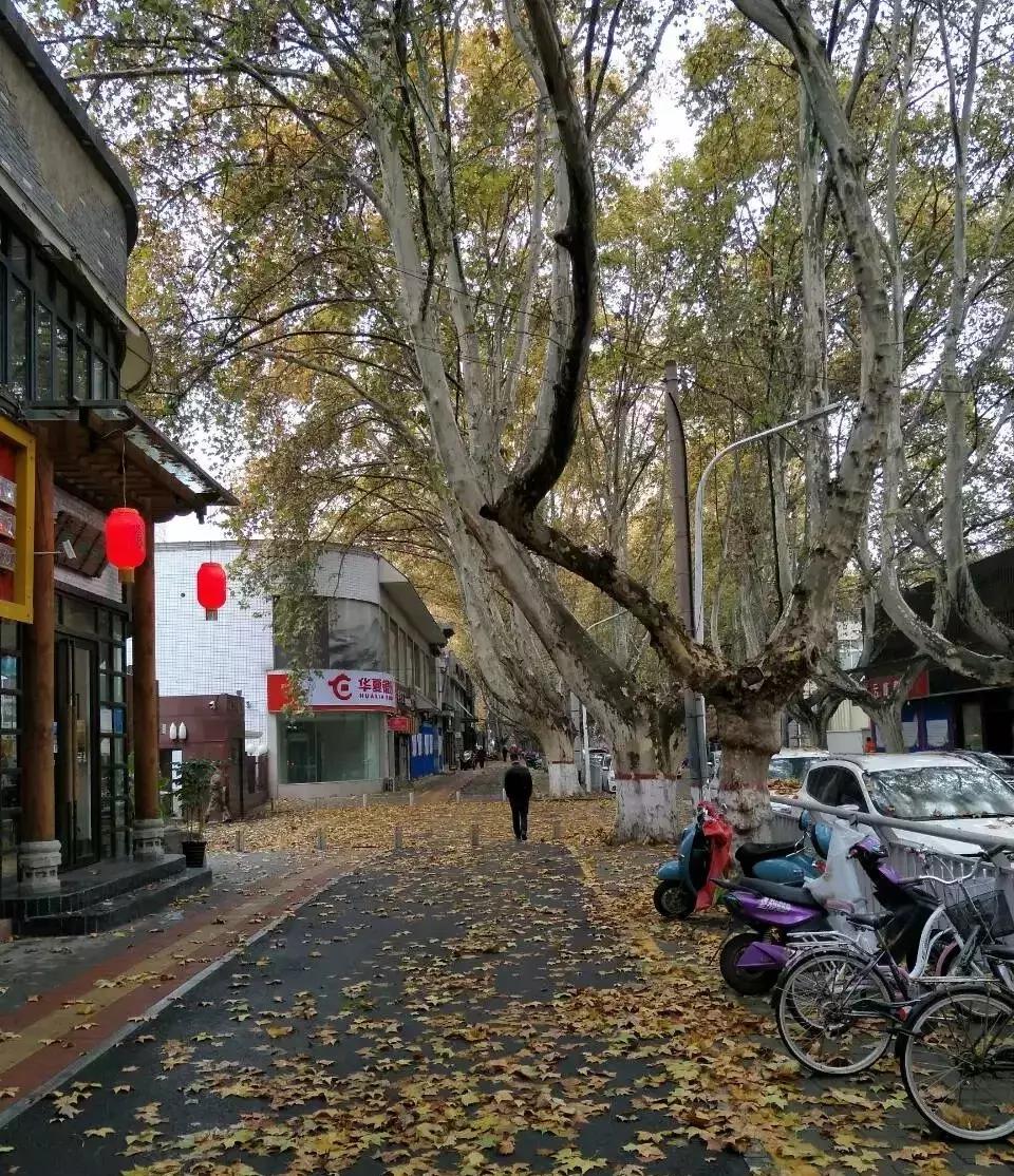 曾经的郑州人民路,曾经这条街是多么热闹