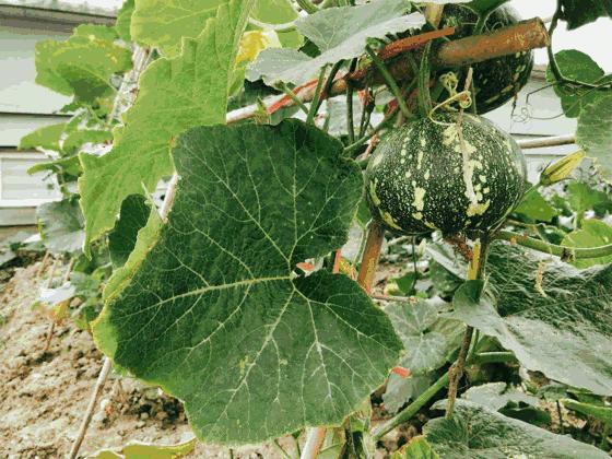 成都看世界杯推荐去处,成都有哪些天台