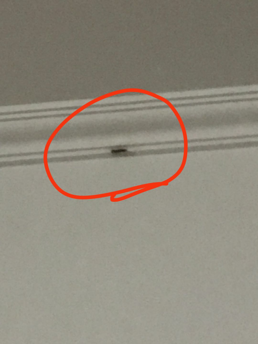 当*底卧**、做代购、救人命，外卖小哥才是隐藏在民间的高手，个个身怀绝技！