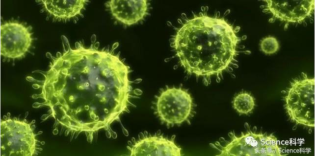 物种起源和进化,物种起源和人类的起源