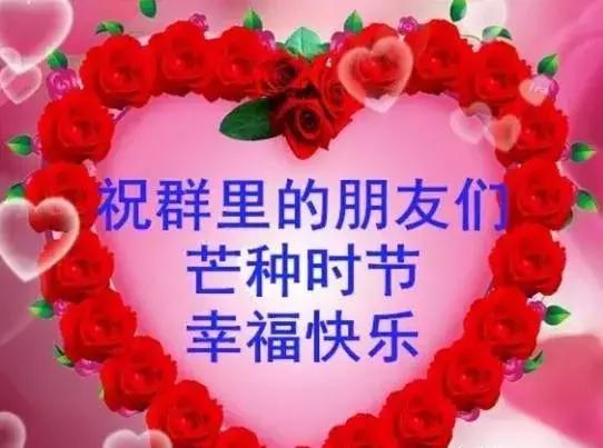 芒种简短的祝福,芒种图片大全祝福