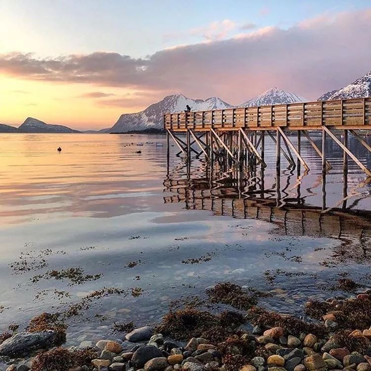 挪威的一个小岛夏天,挪威最美渔村北极圈里的秘境岛屿