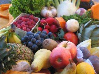 张洪楼创建中国有机农业网，打造互联网+有机农业专业平台