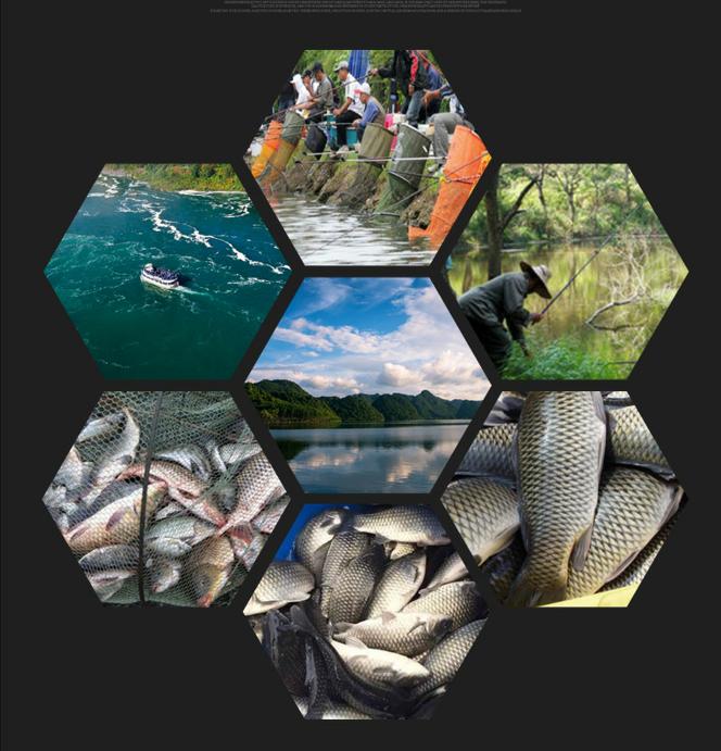 19调昊龙超硬鱼竿,28调超硬调钓竿