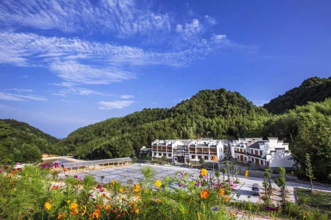 梁平竹海景点,梁平百里竹海蝴蝶谷风景