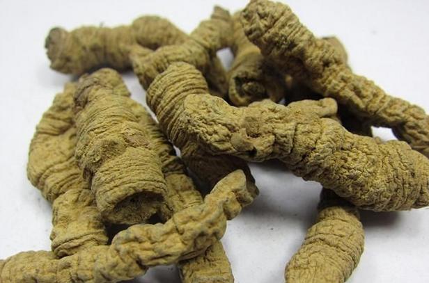 十大补肾名药材有哪些,十大最好的补肾中药