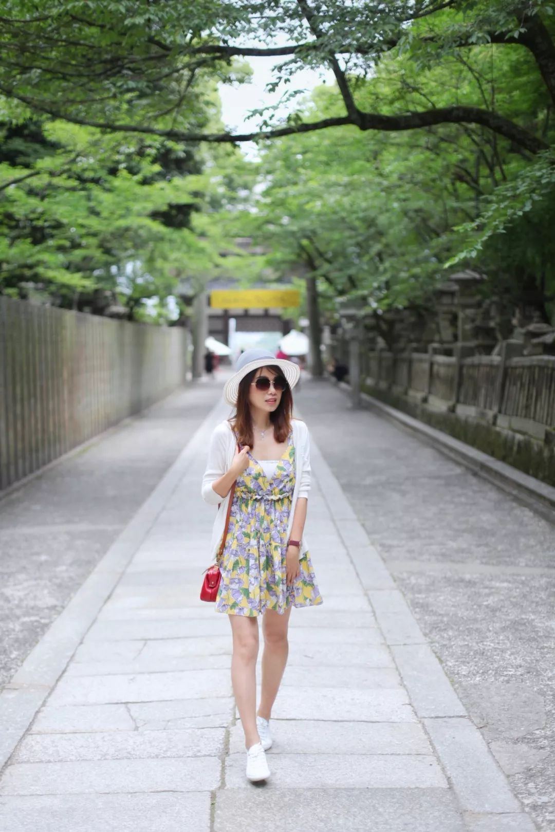 日本的哪个地方中国人不能去,日本什么地方很多中国人