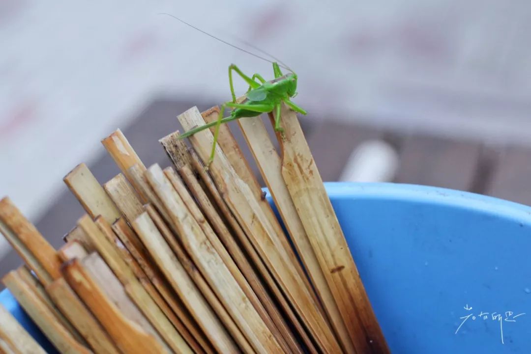 五天四晚适合去哪玩,适合五天四夜清静的旅行