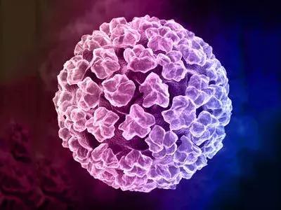 性病防治第三课:尖锐湿疣:“遍地开花”