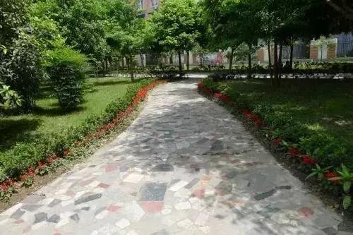 乐山外国语和乐山一中,乐山一中辉煌