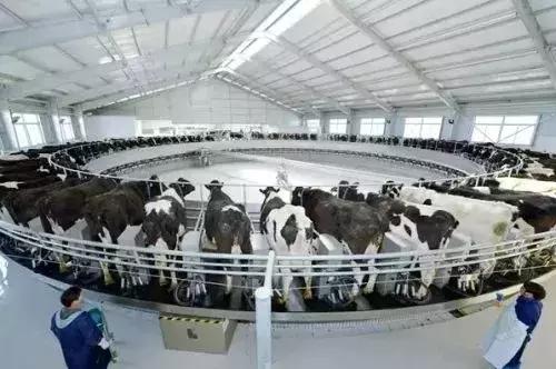 滹沱河鹿泉自驾,鹿泉到灵寿自驾