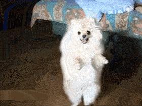 安慰自己不生气的诗,关于不要生气的诗