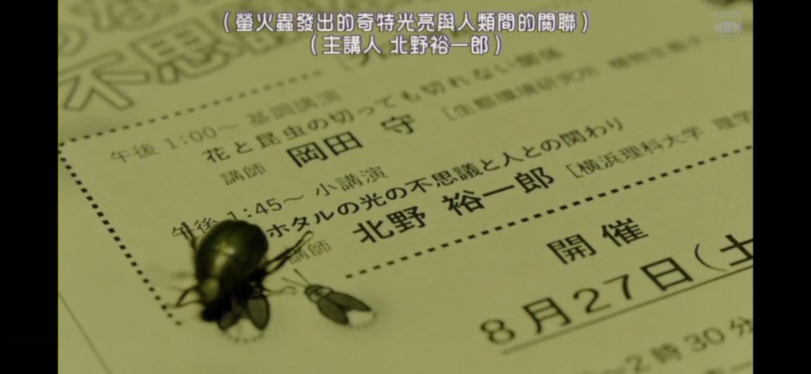 婚内出轨破坏别人家庭法律法规 (破坏和背叛家庭)