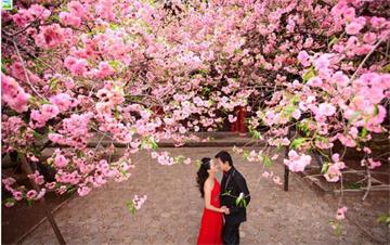 江湖派不传的招来桃花运的秘密