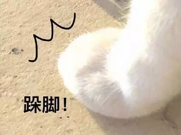 不剁手,不剁手不吃土让国产化妆刷告诉你