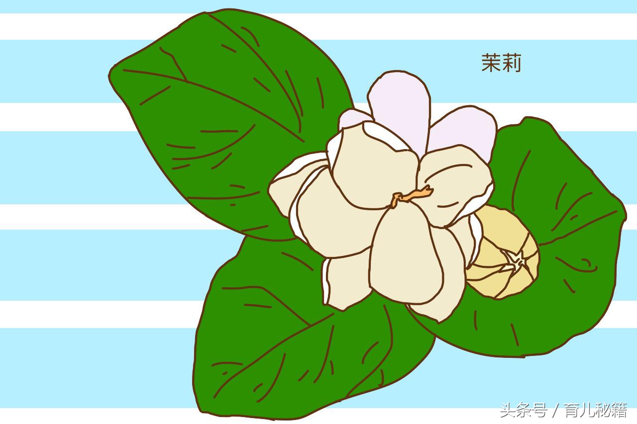 夏天怎么帮宝宝预防被蚊子咬,如何预防宝宝夏天被蚊子咬