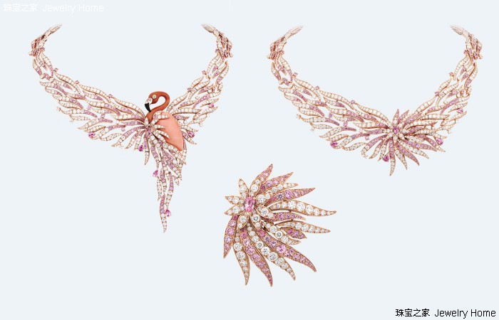 红珊瑚和阿卡沙丁哪个好,阿卡沙丁momo区别