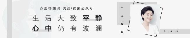 杨澜主持人回顾,杨澜访谈央视主持人