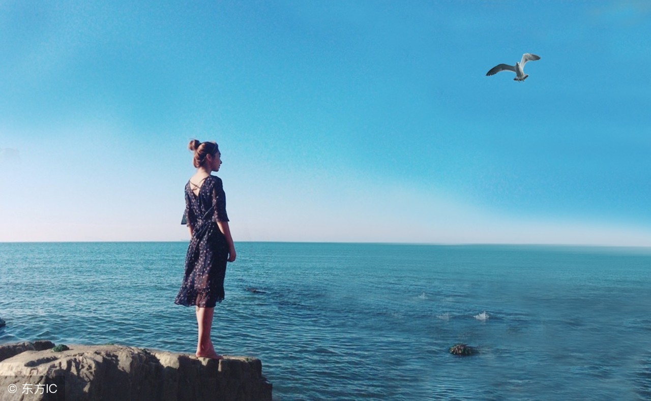 老人与海新老版本,新海诚老人与海