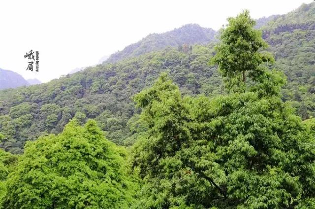 带着女生去峨眉山,带着女友穷游