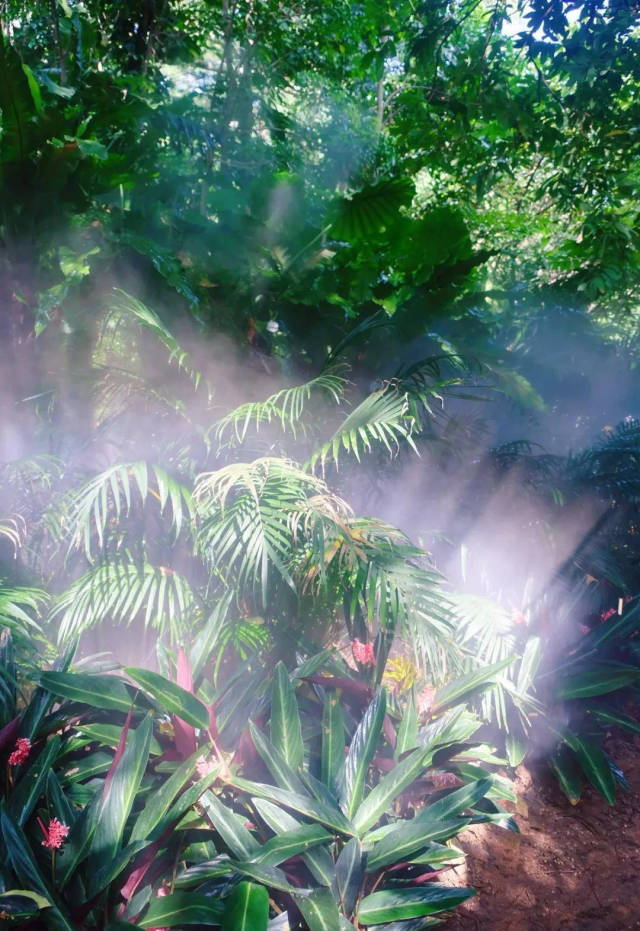 厦门小清新之旅全攻略,厦门周末夏日游