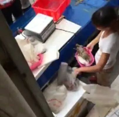 南宁海鲜缺斤少两被挂黄牌,南宁海鲜市场缺斤短两被立案调查