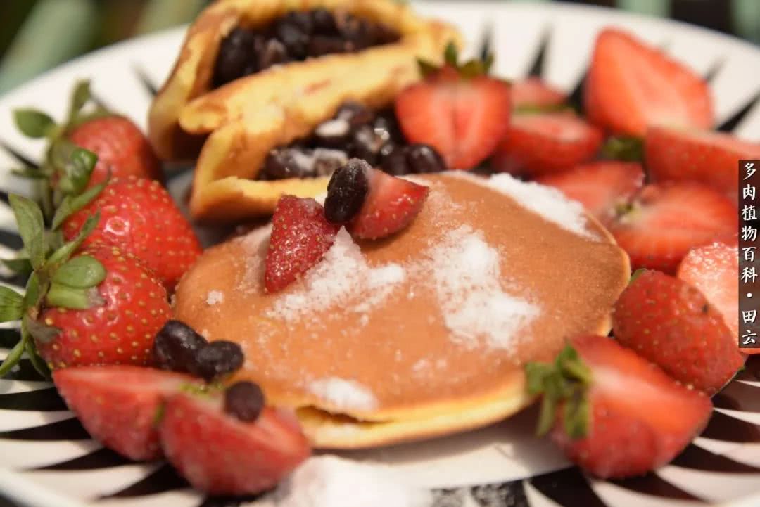 推开多肉世界的门，原来你与美食来自同一国度！