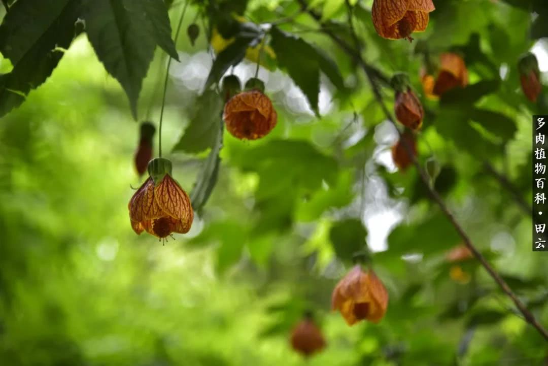 推开世界的门和自己和解,推开世界的门你所看到的风景